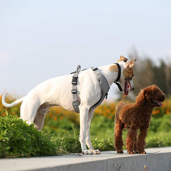 TRUE LOVE Dog Harness Outdoor Adventure II Reflective Vest with 2 Leash Attachments Matching Leash and Collar Available TLH6071 Gray