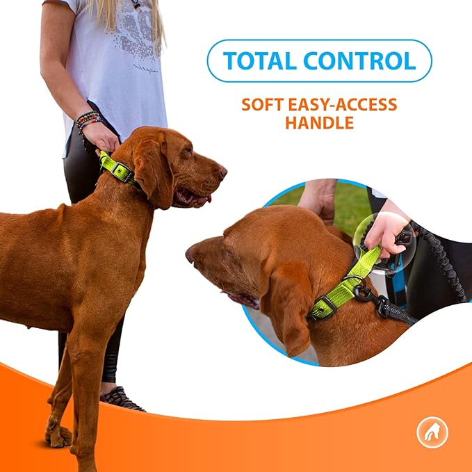 SparklyPets Heavy Duty Dog Collar with Handle for Medium and Large Dogs – Professional Collar with Reflective Stitches, Soft Handle & Nickel-Plated Buckle (Medium (14,5"~18,5"), Green)