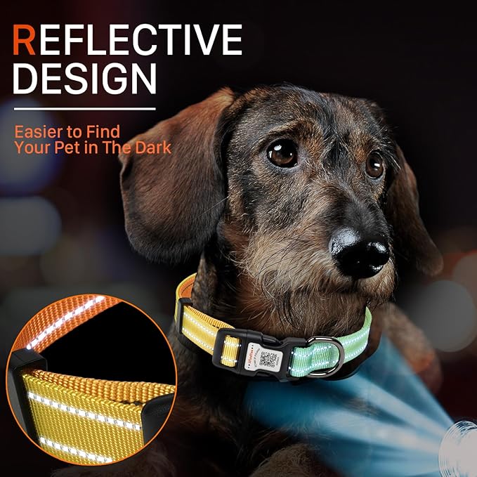 Reflective Dog Collars for Medium Dogs Soft Nylon Green-Orange Gradient Sized S