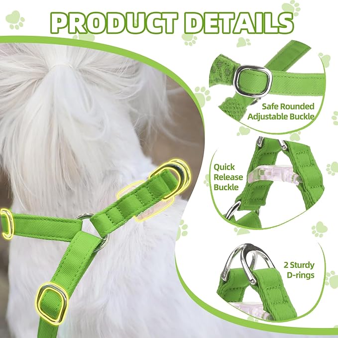 PUPTECK Dog Harness and Leash Set Small Sized, Step-in Cute Puppy Harness, Soft Lightweight Padded Vest, Escape Proof No Pull Pet Harnesses Easy for Walking, Green, XS