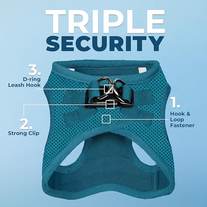 Voyager Step-in Air All Weather Mesh Harness and Reflective Dog 5 ft Leash Combo with Neoprene Handle, for Small, Medium and Large Breed Puppies by Best Pet Supplies - Set (Turquoise), XL