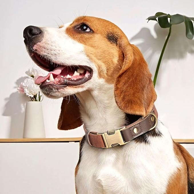 Didog Soft Padded Leather Dog Collars for Small Dogs, Classic Heavy Duty Dog Collar Adjustable with Quick Release Metal Buckle,Brown,S Neck 10-15"