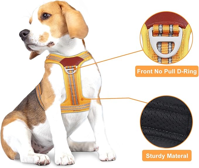 Petmolico No Pull Dog Harness Leash Set, Front and Back Metal Clips Easy Walk Dog Harness with Handle for Training Outdoor Adventures, Yellow Small