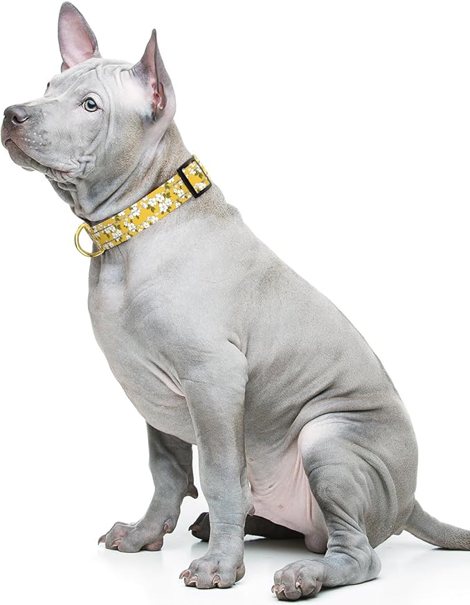 Reflective Dog Collar for Medium Dogs, Cute Flower Theme Adjustable Heavy-Duty Nylon Puppy Collar for Boy and Girl Female, Soft Pet Accessories with Quick Release Buckle, Yellow
