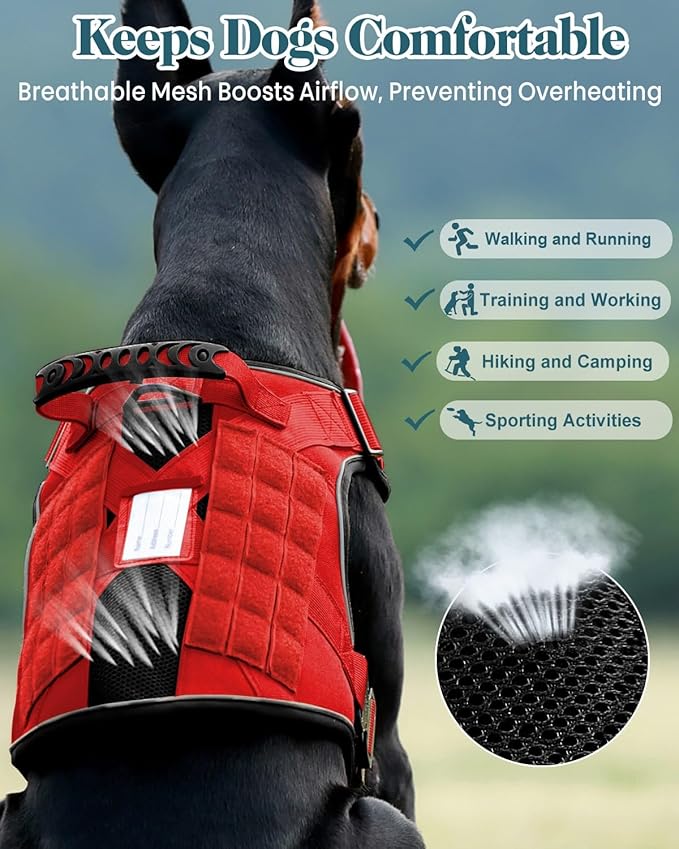 Reflective Red Service Dog in Training Vest Harness Leash Set for Medium Large Dogs, Adjustable Heavy Duty Padded Dog Harness, with Front Clip and Metal Buckles Do Not Pet for Training, Hiking