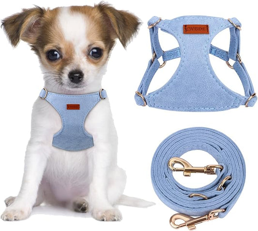 CHEDE No Pull Puppy Harness and Multifunction Dog Leash Set- 8 Colors Soft Adjustable No Choke Escape Proof Cute,Lightweight Pet Vest Harness for Small and Medium Dog (XXS, Blue)