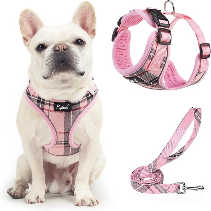 PUPTECK Soft Mesh Dog Harness and Leash Set Pet Puppy Cat Adjustable Reflective Padded Vest No Pull Harnesses, Pink, L
