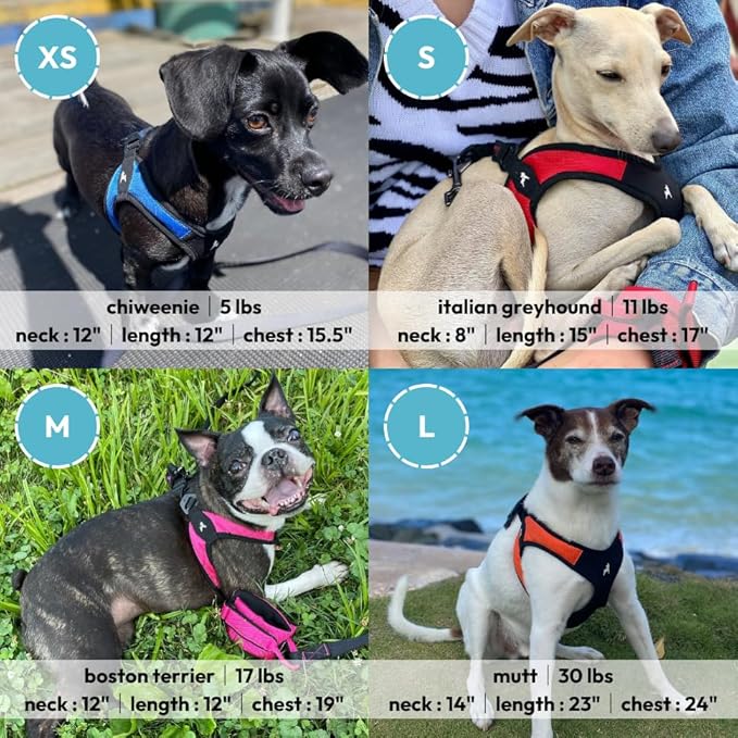 Gooby Escape Free Easy Fit Harness - Orange, Small - No Pull Step-in Patented Small Dog Harness with Quick Release Buckle - Perfect On The Go No Pull Harness for Small Dogs or Medium Dog Harness