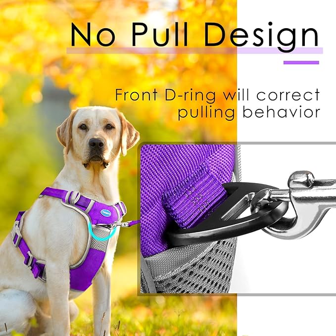 ThinkPet No Pull Harness Set Breathable Sport Harness with Handle - Reflective Padded Dog Safety Vest with Reflective Neon Dog Leash S Harness Leash Pack Purple
