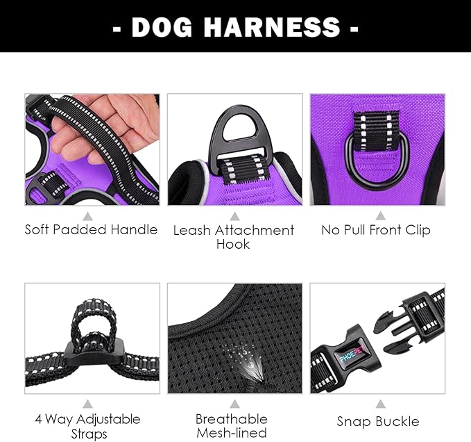 PHOEPET No Pull Dog Harness Medium Reflective Front Clip Vest with Handle,Adjustable 2 Metal Rings 3 Buckles,[Easy to Put on & Take Off](M, Purple)