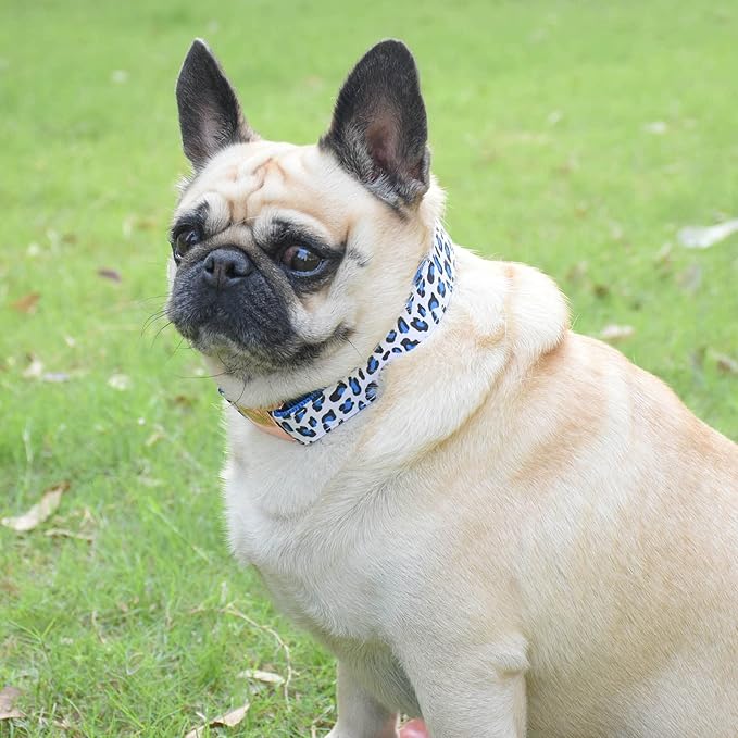 Metal Buckle Dog Collar, Durable Adjustable Dog Collar Soft for Small Medium Large Dogs (S(10-14in), Blue Leopard)
