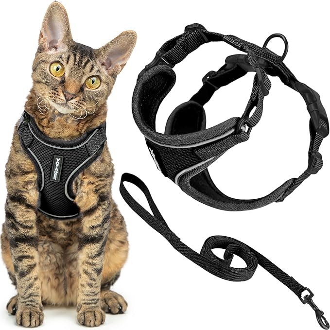 Voyager Escape Proof Cat Harness and Leash Set with Reflective Stitching, Neoprene Handle 5ft - Supports Small, Medium and Large Cats, Kittens for Walking by Best Pet Supplies - Black, XS