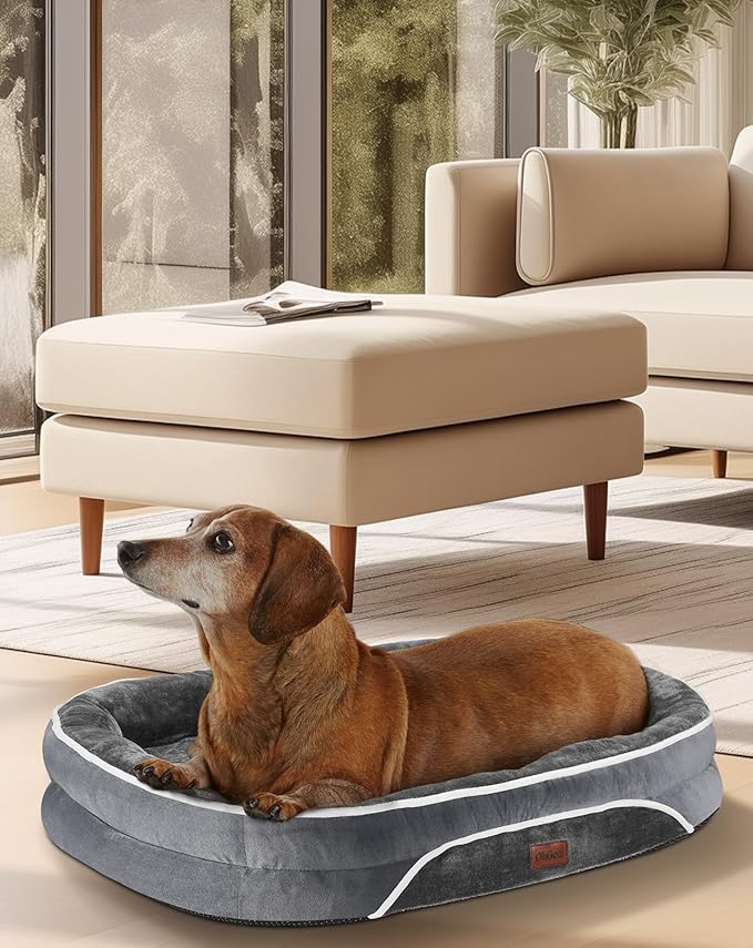 OhGeni Orthopedic Dog Couch Small Sized Pet Beds for Fathers Gifts with Comfort Foam Support, Soft Indestructible Fabric, Machine Washable Waterproof Removable Cover, 22-Inch (Gray)