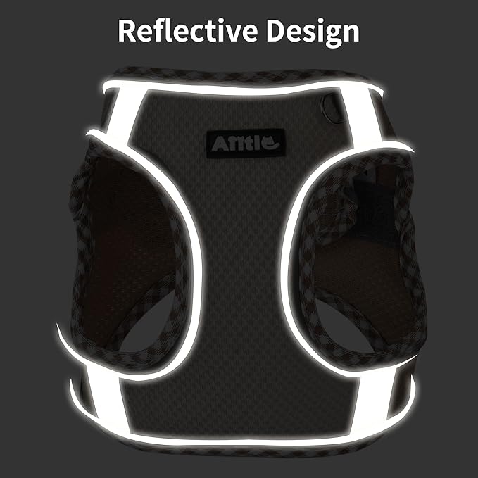 AIITLE XXS Dog Harness & Leash Set - Breathable Reflective No-Choke Small Dog Harness for Teacup Puppies, Indoor/Outdoor Use - Boston Terrier, Maltese, Chihuahua (Brown-Beige, XXS)