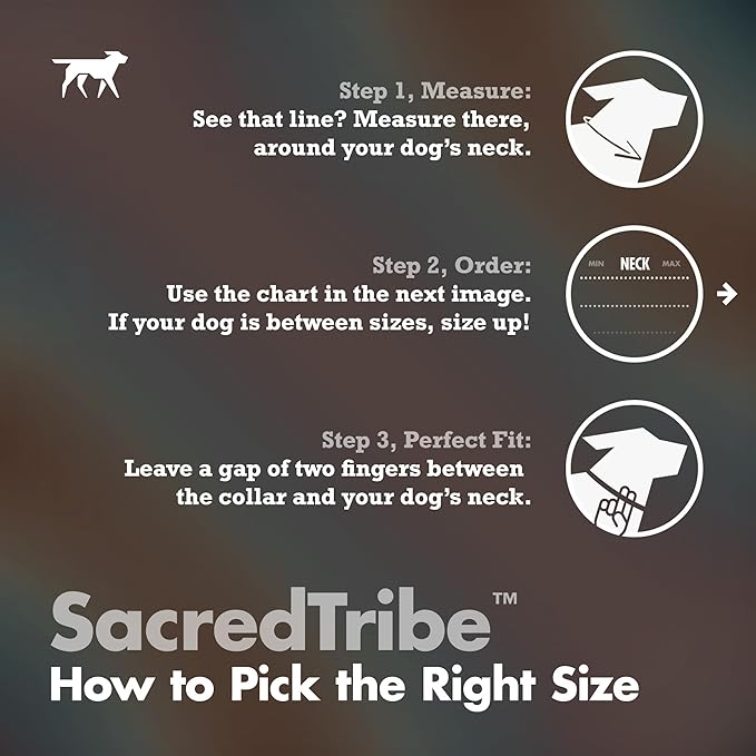 Tuff Pupper Premium Adjustable Dog Collar for Large Boy & Girl Dogs, Stylish Pattern Collars Designed in USA, Quick Release Buckle, SacredTribe Print, Large (1 Inch Wide x 18-26 Inch Neck)