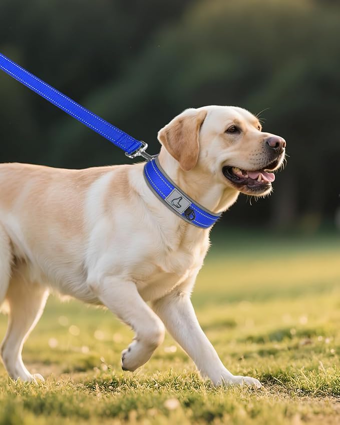 Joytale Dog Collar for Large Dogs, Neoprene Padded and Adjustable, Reflective Wide Heavy Duty Pet Collars with Durable Metal Belt Buckle for Walking, Navy Blue, L