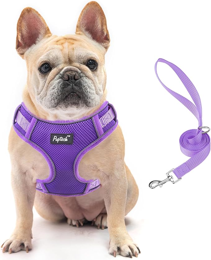 PUPTECK Dog Harness and Leash Set for Small Medium Dogs No Pull, Soft Mesh Adjustable Puppy Cat Harness Reflective at Night, Purple M
