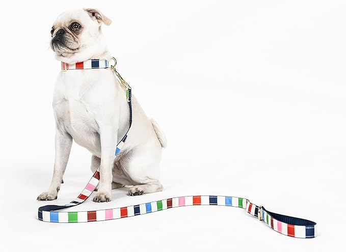 kate spade new york Cute Dog Collar with Gold Metal Details & Plastic Buckle, 10.5” to 13.5” Adjustable Dog Collar for Female or Male Dogs, Small to Medium Dogs (Adventure Stripe)