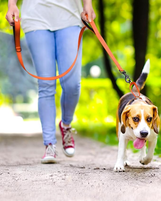 FunTags Reflective Martingale Collar for Dogs, Quick Release Buckle, 5FT Double Handle Dog Leash Padded, Dog Collar and Leash Set, Adjustable for Small Dogs (Orange, S)