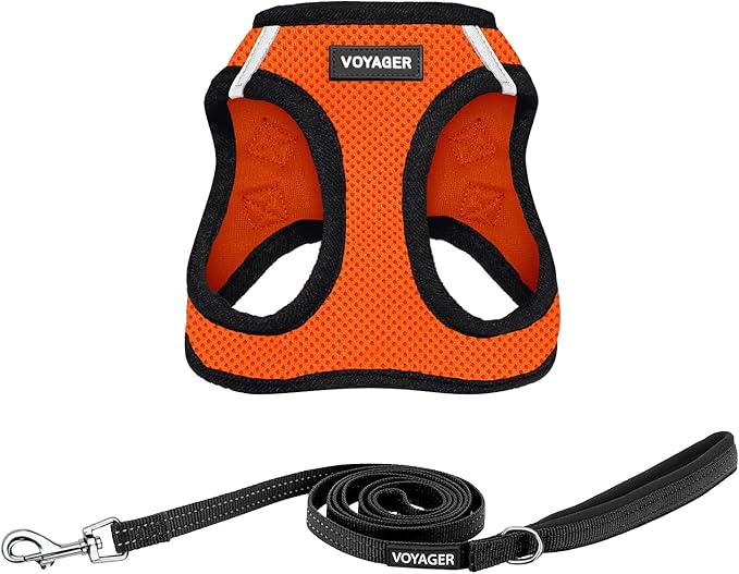 Voyager Step-in Air All Weather Mesh Harness and Reflective Dog 5 ft Leash Combo with Neoprene Handle, for Small, Medium and Large Breed Puppies by Best Pet Supplies - Orange/Black Trim, Small