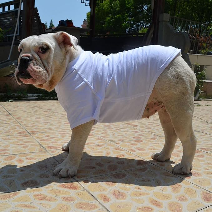 Lovelonglong Bulldog Clothes Dog Clothing Blank T-Shirt Tee Shirts for French Bulldog English Bulldog American Pit Bull Pugs 100% Cotton Skin Care White B-S
