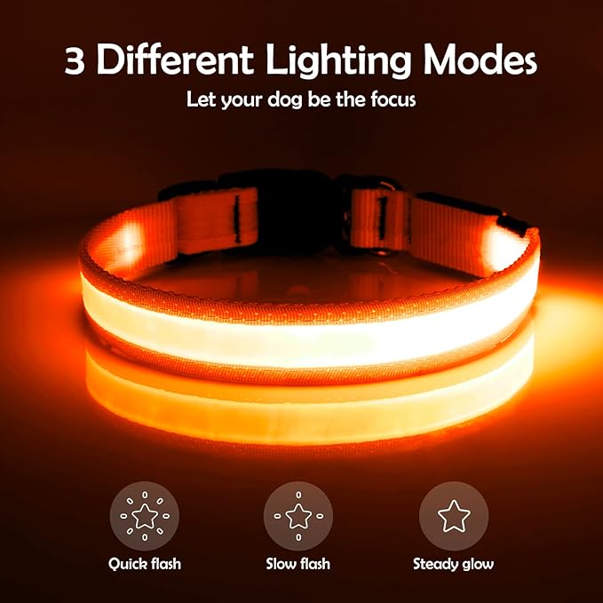 Vizpet LED Dog Collar, Light Up Dog Collar Adjustable USB Rechargeable Super Bright Safety Light Glowing Collars for Small Dogs(Small,Orange)