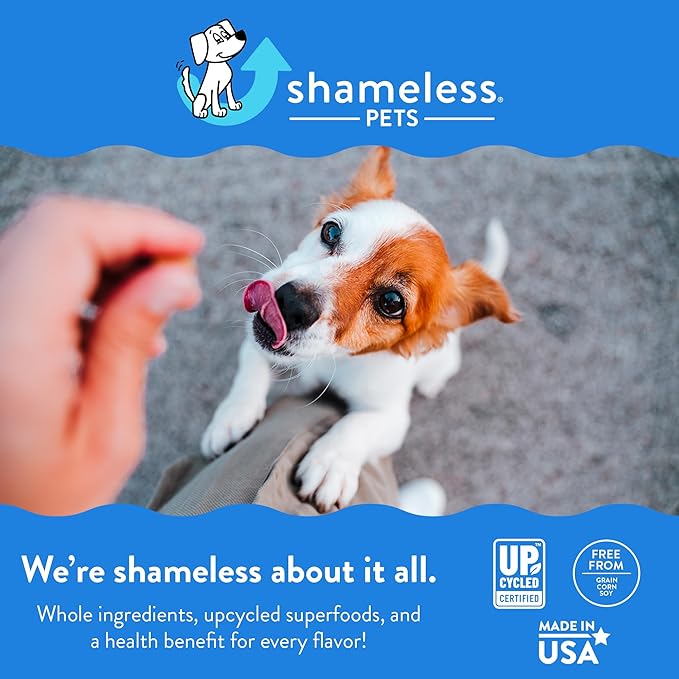 SHAMELESS PETS Natural Grain Free Dog Treats | Made in The USA from Upcycled Food Ingredients (Apple)