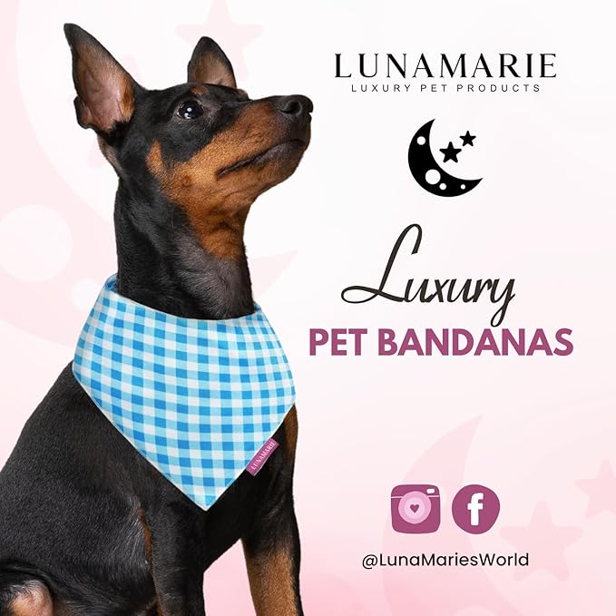 Luxury Pet Birthday Bandanas -Premium & Silky Poly Fabric | 100% Handmade | Custom Shape Dual Layered (Blue Checkers, X-Small)