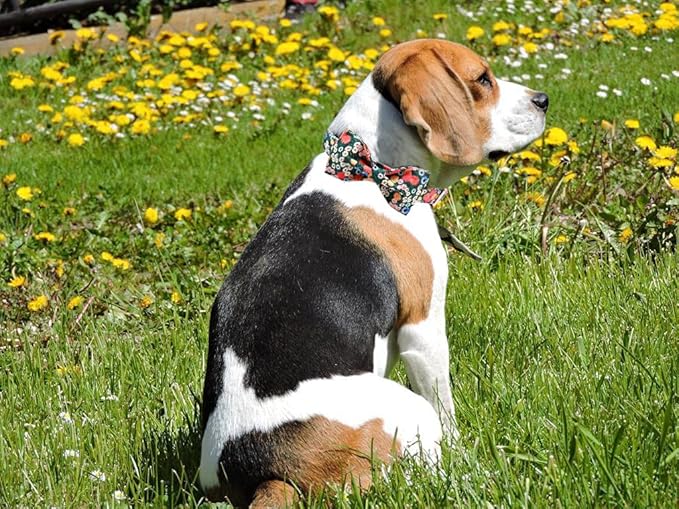 Lionheart glory Floral Print Dog Collar Adjustable Soft Dog Collar with Bowtie, Girl Pet Collars for X-Small Small Medium Large Dogs