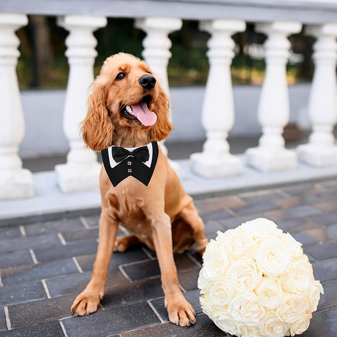 ADOGGYGO Dog Tuxedo, Wedding Birthday Dog Bowtie Collar, Pet Tux Bandana Collar for Small Pets (Black, Small)