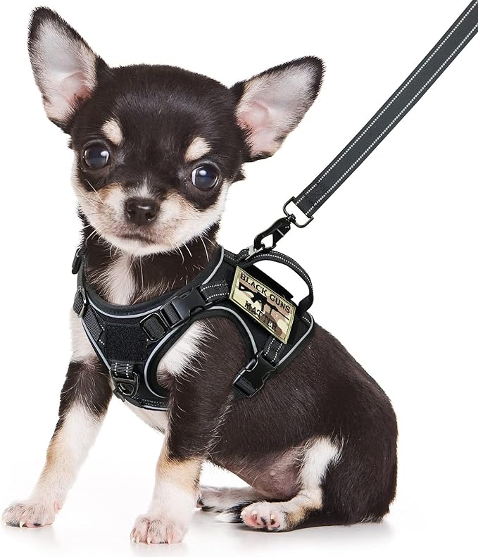 XSmall Tactical Dog Harness and Leash, Military K9 Puppy Vest Harness, No Pull Outdoor Training XS Dog Harness with Handle (XSmall, Black+Leash)
