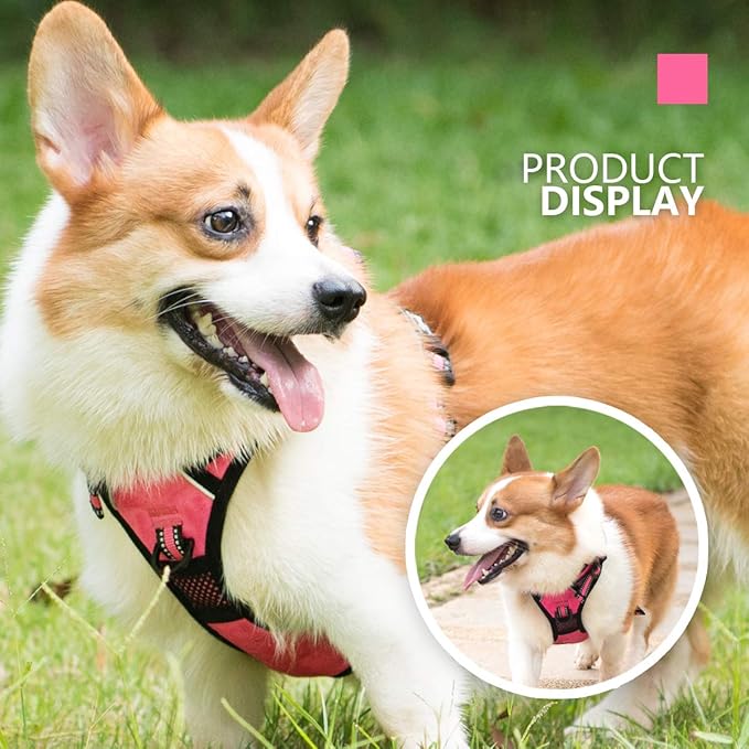 PoyPet No Pull Dog Harness, [Release on Neck] Reflective Adjustable No Choke Pet Vest with Front & Back 2 Leash Attachments, Soft Control Training Handle for Small Medium Large Dogs(Pink,S)