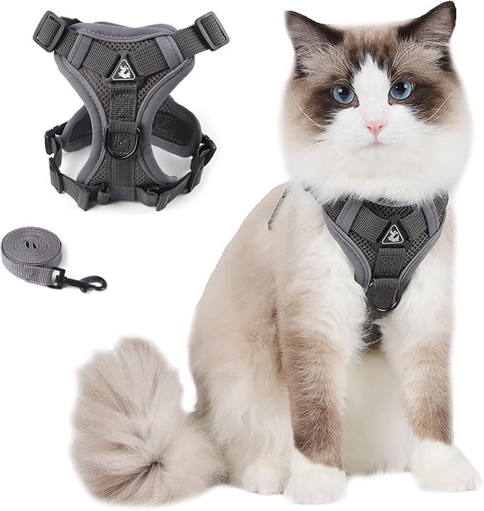 Cat Harness and Leash Set Escape Proof, Adjustable Vest with Lead for Large Cat Small Dog Puppy Outdoor Walking, Soft Breathable Mesh Jacket with Reflective Strips for Dark Night, L Gray