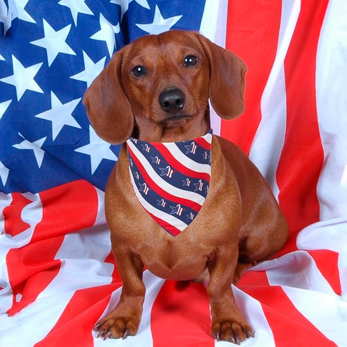 PTDECOR American US Flag Dog Bandana 4th of July Dog Bandanas Reversible Triangle Bibs Scarf for Small Dogs (Style 2, Small)