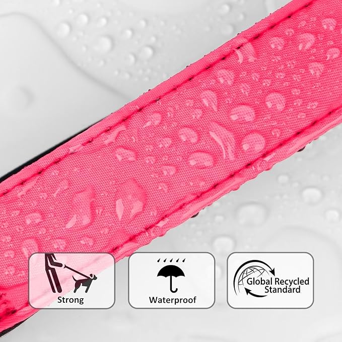 Didog Soft Padded Dog Collars for Small Dogs, Cute Pink Pet Collar with Quick Release Buckle, Light and Breathable for Girl Dogs Daily Walking,Pink,S(Neck:10-15")