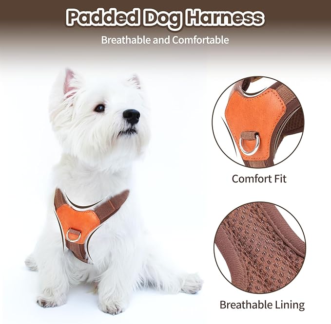 No-Pull No-Choke Dog Harness and Leash Set - Adjustable Soft Padded Vest, Lightweight Retro Design for Small Medium Dogs and Puppies, Easy Control and Comfortable Walk (Blue, L)