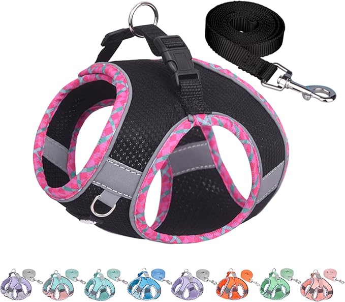 AIITLE Dog Harness and Leash Set - Ultra-Comfortable Vest with Strong Velcro & Glow-in-Dark Reflective Strips, Chafe-Free for Teddy, Schnauzer (Black, M)