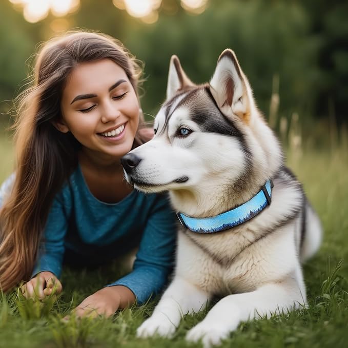 Timos Dog Collar, Adjustable Soft Dog Collar for Small Medium Large Dogs,Patterned Puppy Collars with Quick Release Buckle for Boy and Girl Female Dogs,L Length 15.94''-25.59'