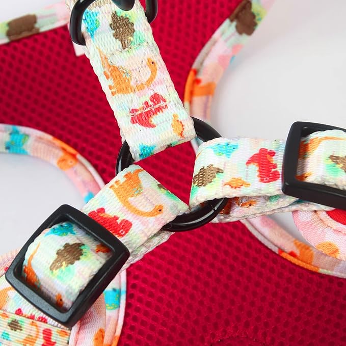 Dog Harness and Leash Set, Adjustable Dog Harness, Dog Leash, No Pull No Choke Puppy Harnesses for Walking Training for Small, Medium, Large Pet