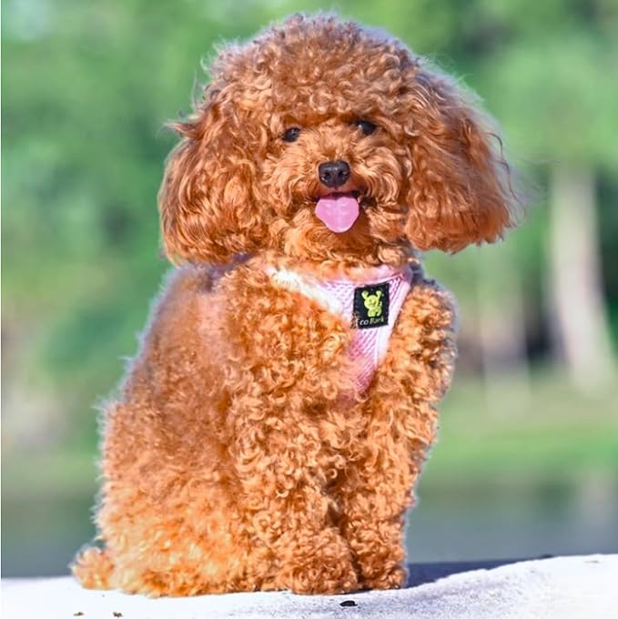 EcoBark Small Dog Harness for Toy Breed Dogs & Puppies - No Pull Soft Luxury Mesh - Step in Harness Body Halter Vest - Cute Adjustable Little Halter Body Wrap 7-10 lbs (Small, Baby Pink)