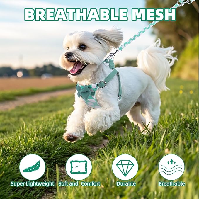 PUPTECK Dog Harness and Leash Set Small Sized, Step-in Cute Puppy Harness, Soft Lightweight Padded Vest, Escape Proof No Pull Pet Harnesses Easy for Walking, Plaid Green & White, S