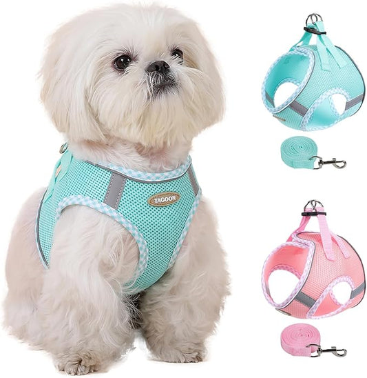 Dog Harness and Leash Set, Mesh Male and Female Extra Small Dogs Vest Collars, Adjustable No-Pull Pet Cat Chest Harnesses with Leashes, Medium Running Gear for Large Puppies, S Size Green