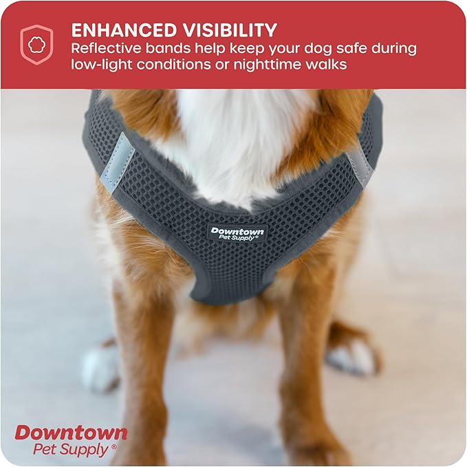 Downtown Pet Supply Step in Dog Harness for Small Dogs No Pull, Small, Titanium - Adjustable Harness with Padded Mesh Fabric and Reflective Trim - Buckle Strap Harness for Dogs