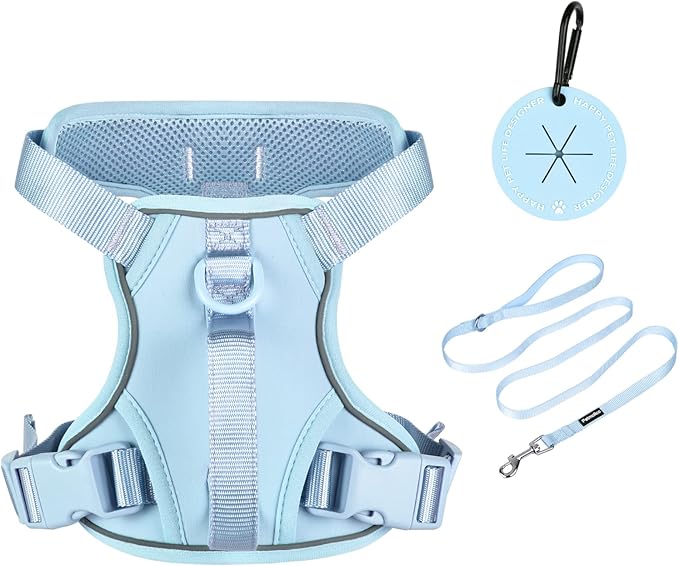 Petmolico Dog Harness for Small Dogs, Cute Harness Vest with Two Leash Clips and Soft Handle, Reflective Easy Walk Puppy Vest - Light Blue, Small
