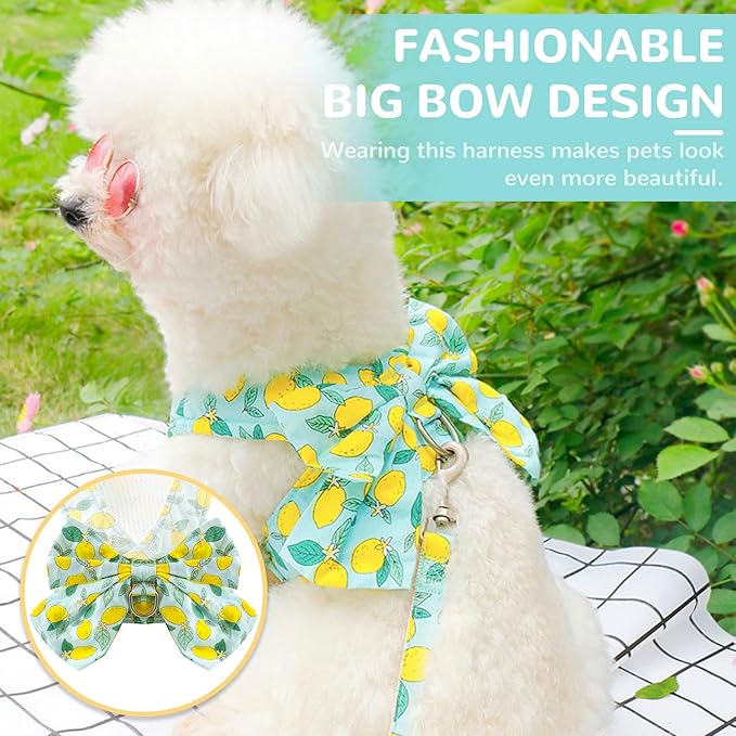 BAEJMJK Dog Harness and Leash Set with Bow Knot No Pull Pet Daisy Floral Harness with D-Ring Soft Mesh Dog Harness Vest Set Escape Proof Princess Puppy Harness for Small Girl Dogs Cats（Green XS）