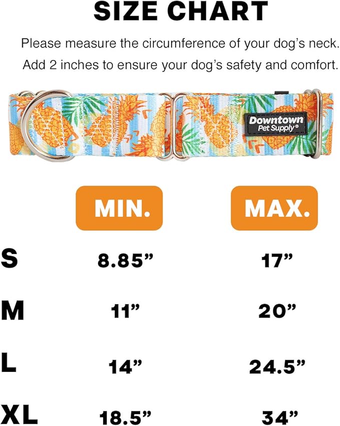 Downtown Pet Supply Big and Wide Durable Martingale Training Collars for Dogs and Puppy in Small,Medium,Large,and Extra Large Dog Collar (Pineapple),X-Large: 18.5 inch-34