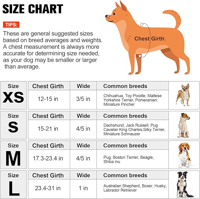 BEAUTYZOO No Pull Dog Harness and Leash Set - Adjustable Step-in Puppy Harness for Small Medium Large Dogs, Escape Proof Soft Nylon Vest with Double D Ring for Walking Running Training, L