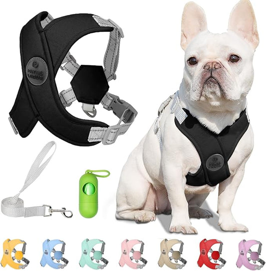 Patas Lague Dog Harness with Leash Set Adjustable Soft Padded Step-in Dog Vest No Choke No Pull Reflective for Medium Pets with Poop Bags and Dispenser, Solid and No-chew, Black L