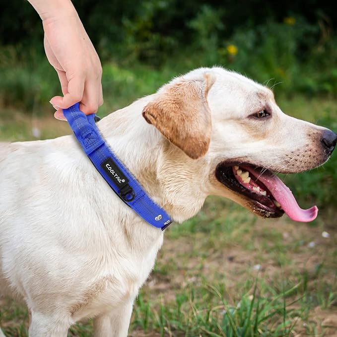 KOOLTAIL Heavy Duty Dog Collar with Handle for Large Dogs, Ballistic Nylon Collar for Training Control, Soft Padded Thick Wide Reflective Dogs Collar with Adjustable Metal Buckle for Walking, Blue M