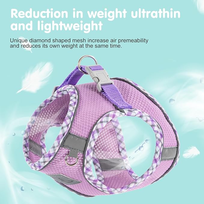 Dog Harness & Leash Set - No Pull Soft Breathable Small Dog Harness, Adjustable Reflective Step-in Vest for Puppy, Kitten, Cats